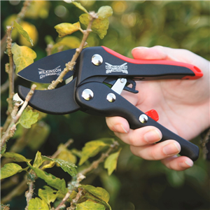 W/S Ratchet Anvil Pruner 244W